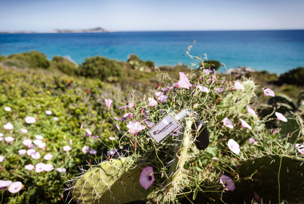 What inspires us Only Sardinia Autonoleggio